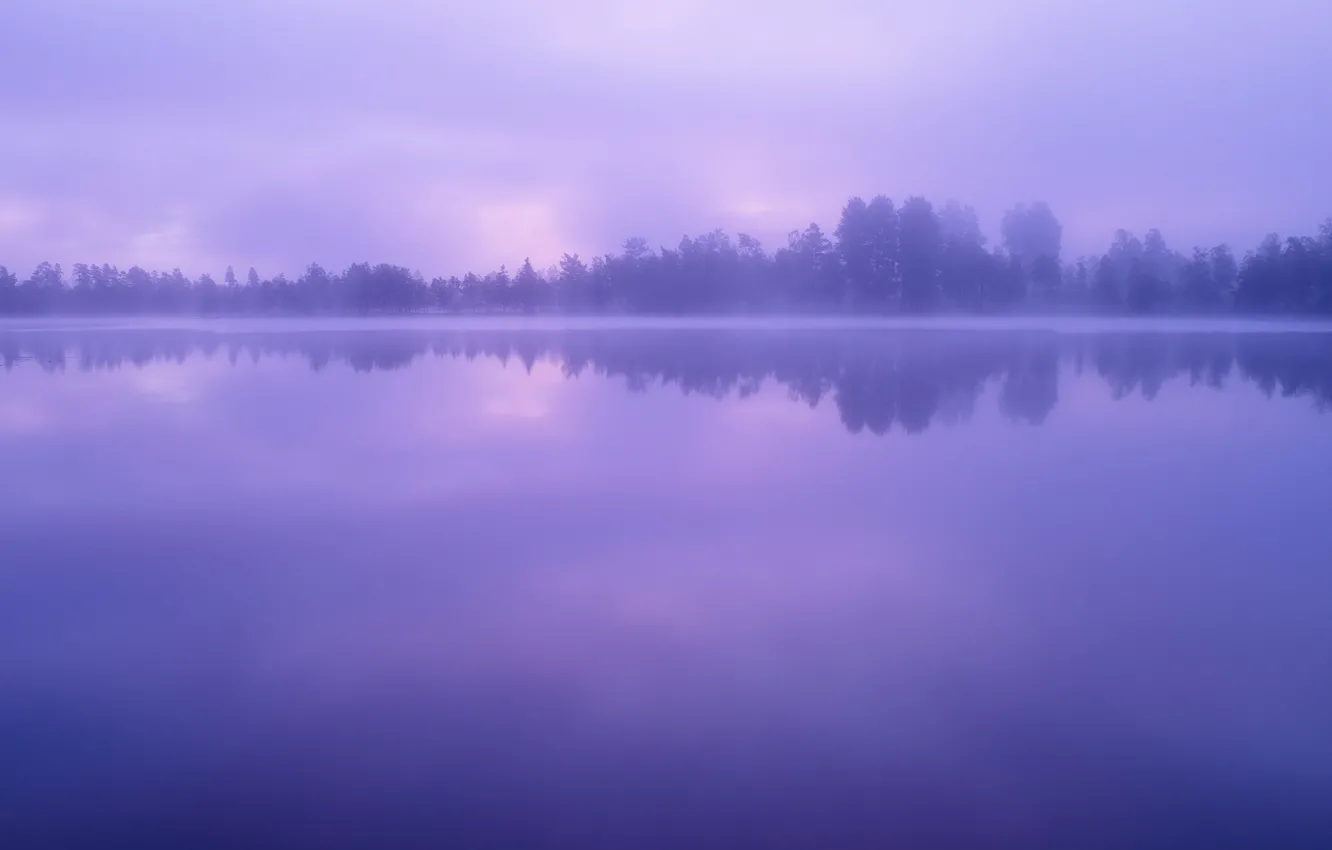 Фото обои Небо, Вода, Облака, Озеро, Деревья, Лес