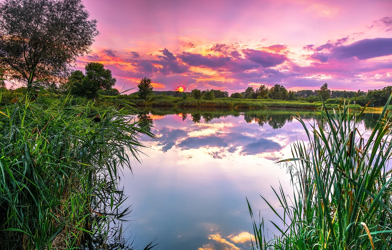 Фото обои трава, закат, озеро, розовый, нежный