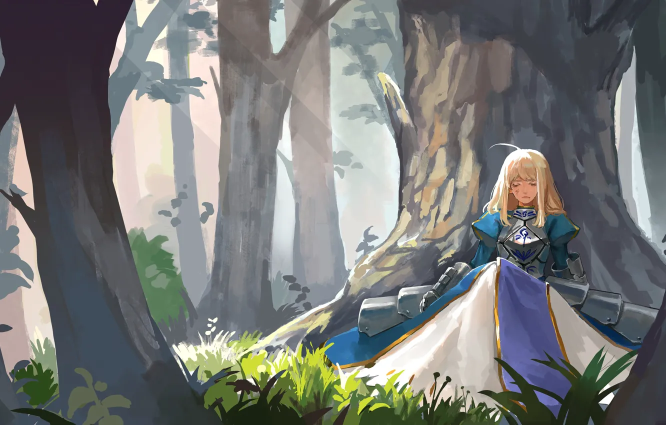 Фото обои лес, девушка, рыцарь, сейбер, Fate / Stay Night