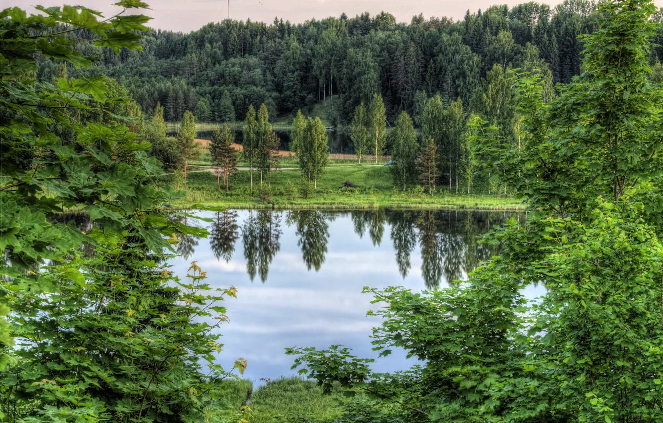 Фото обои деревья, пейзаж, озеро, Estonia