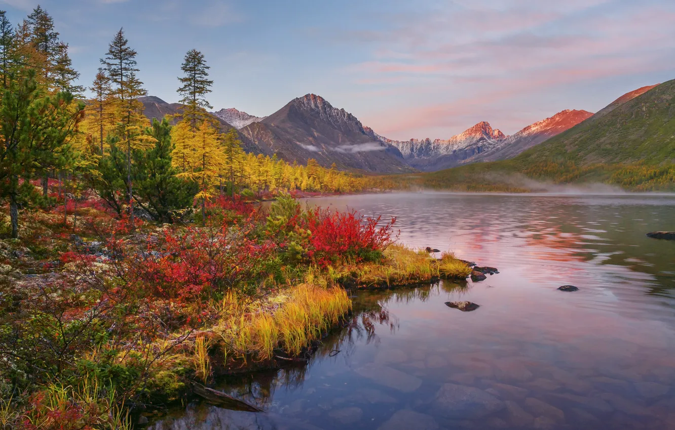Фото обои осень, пейзаж, горы, природа, туман, озеро, растительность, утро