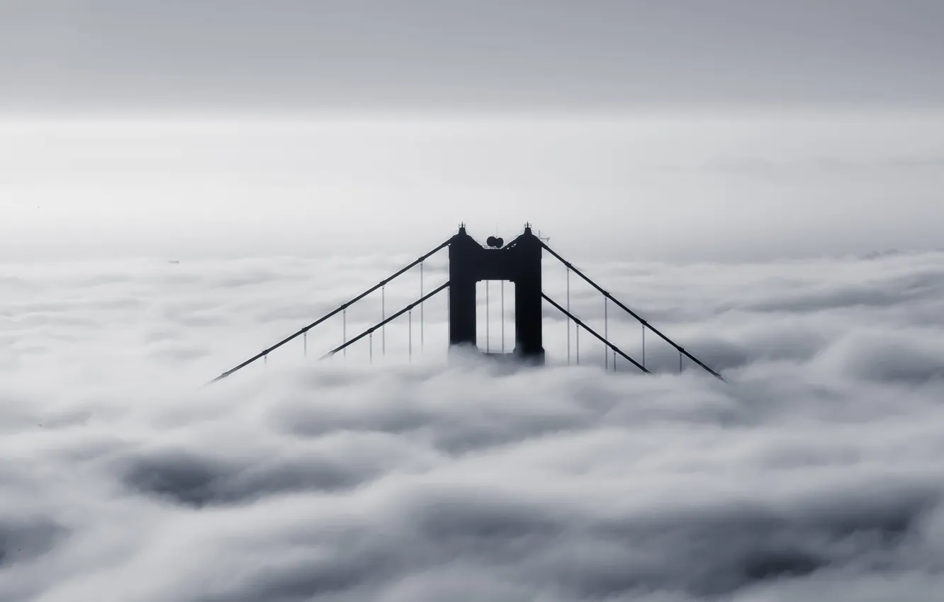 Фото обои мост, туман, фото, черно-белое