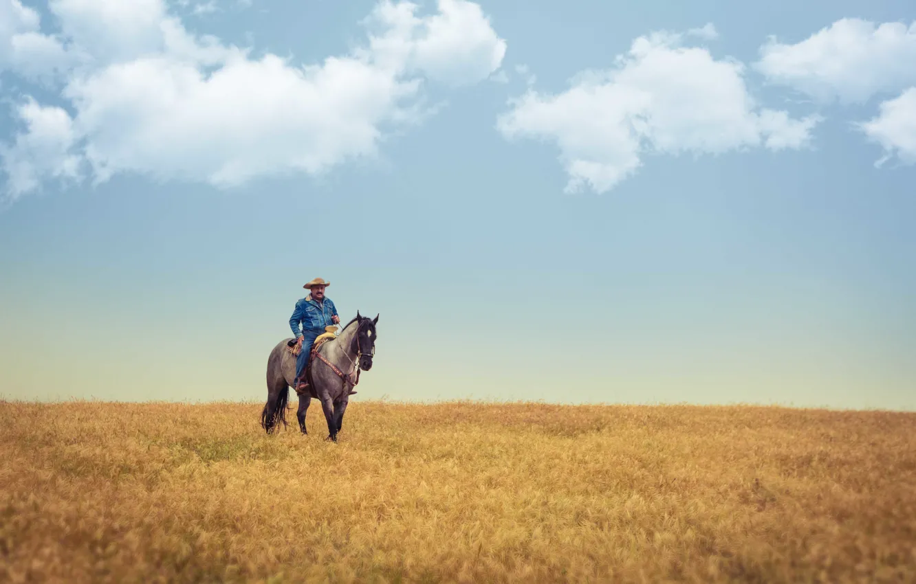 Фото обои поле, небо, облака, лошадь, ковбой, ферма, сельской местности