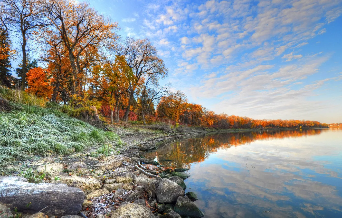 Фото обои иней, осень, небо, трава, деревья, река, камни