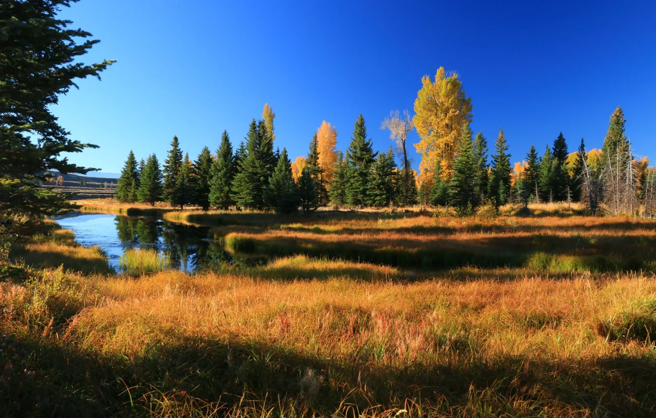 Фото обои осень, деревья, горы, река, Вайоминг, США, Гранд-Титон, Grand Teton National Park