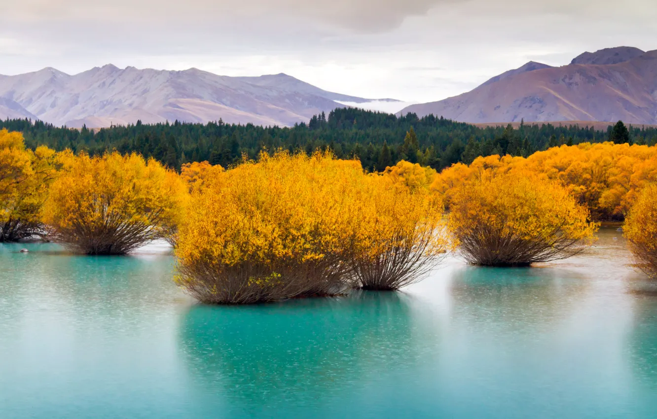Фото обои лес, пейзаж, горы, озеро, Новая Зеландия, Южный остров