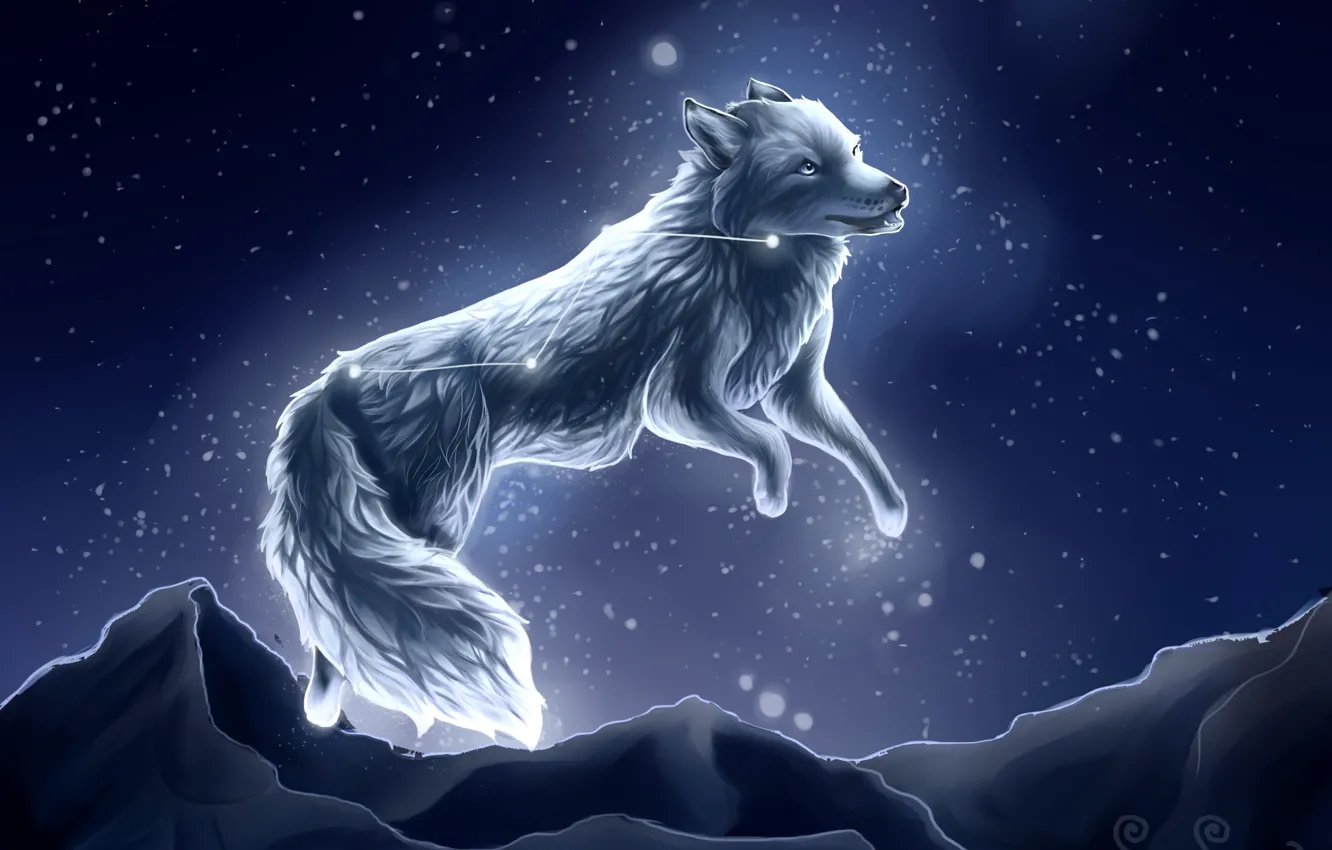Фото обои снег, ночь, волк, by SnoSwirl