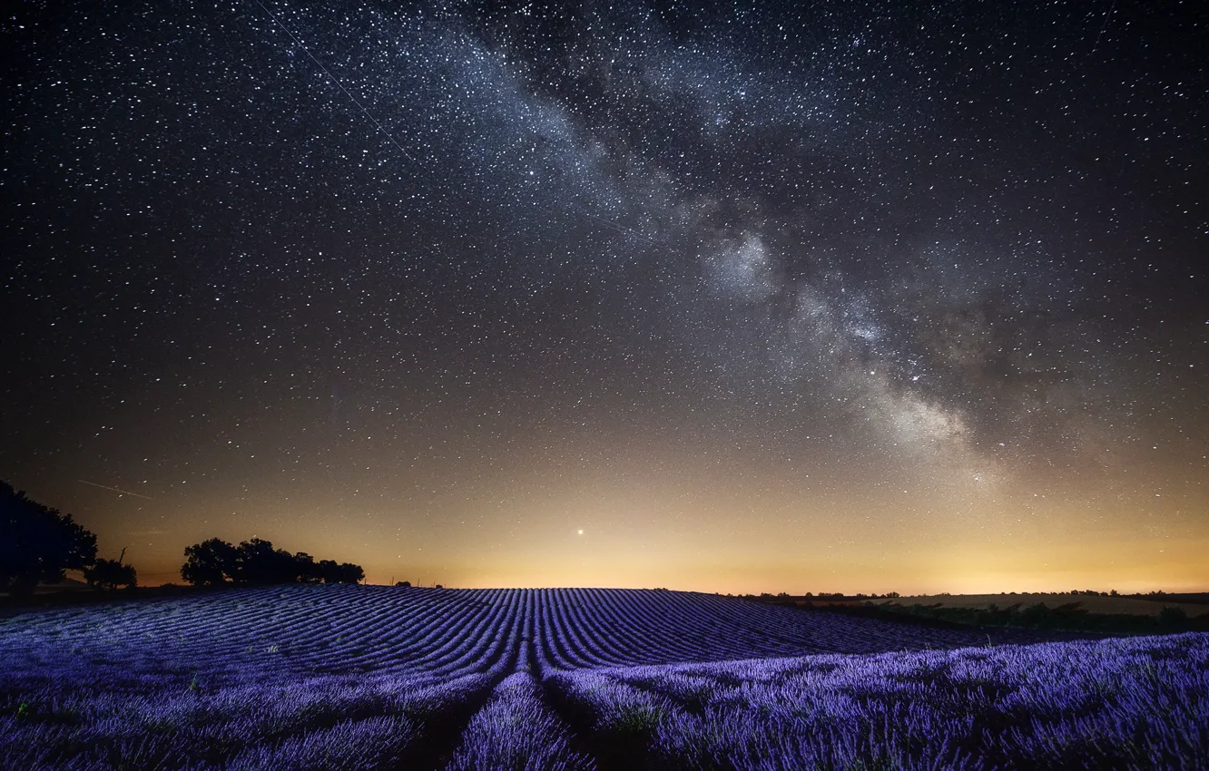 Фото обои поле, небо, пейзаж, ночь, природа, Франция, звёзды, лаванда