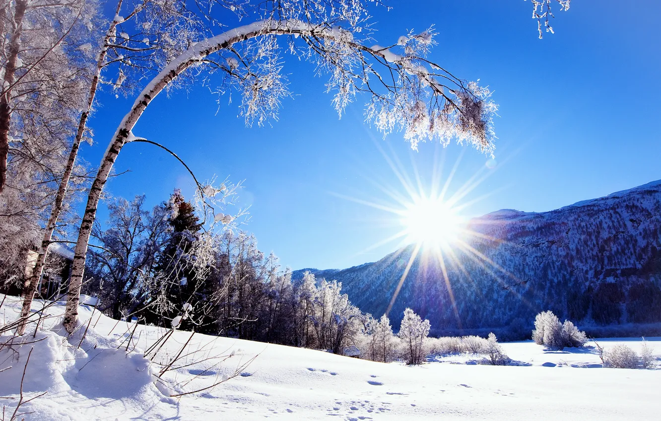 Фото обои зима, солнце, снег, горы, природа, дерево