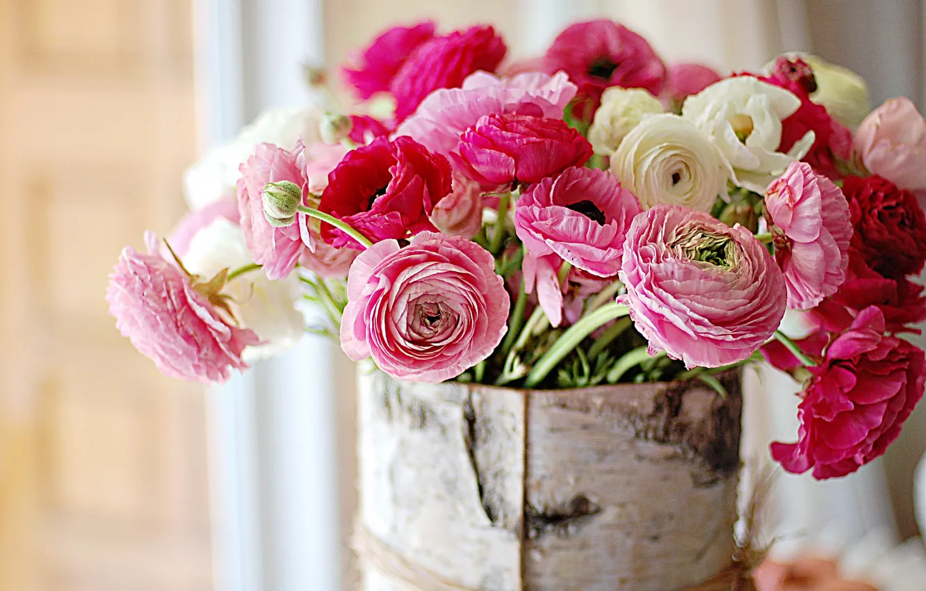 Фото обои цветок, букет, ярко-розовый