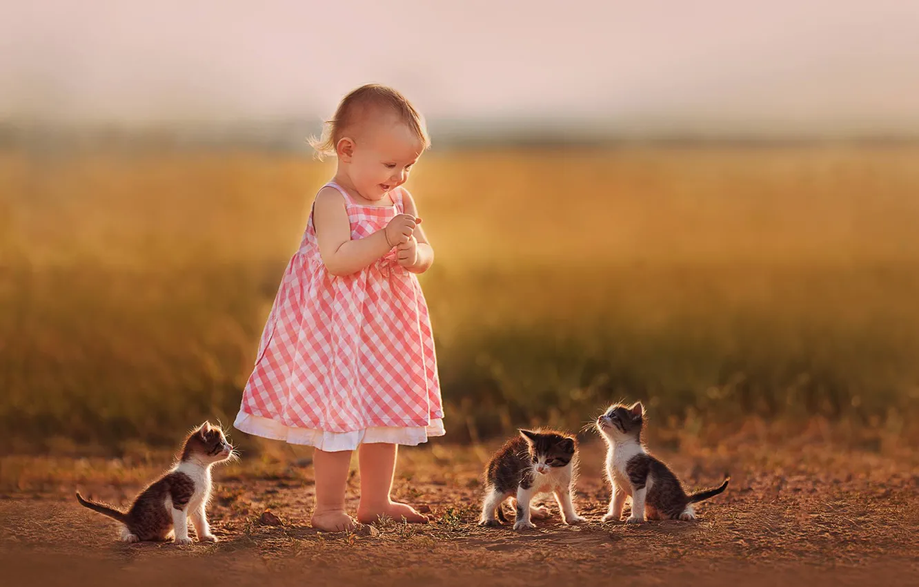 Фото обои радость, девочка, котята, малышка, боке