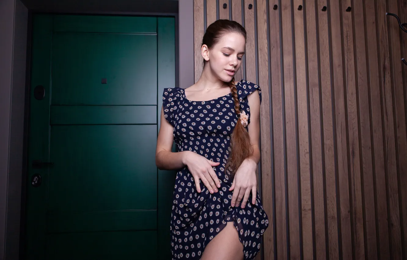 Фото обои girl, dress, model, braid