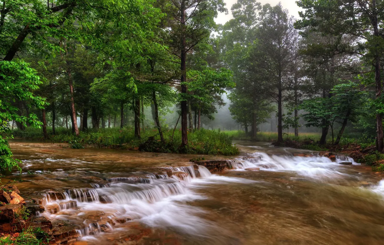 Фото обои лес, деревья, природа, туман, река, Миссури, США