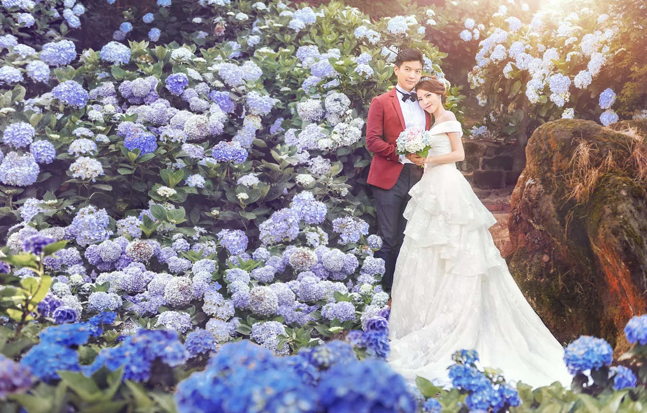 Фото обои любовь, цветы, праздник, Пара, свадьба, молодожены, Гортензия