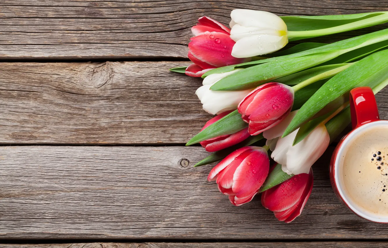 Фото обои цветы, букет, тюльпаны, red, white, wood, flowers, tulips