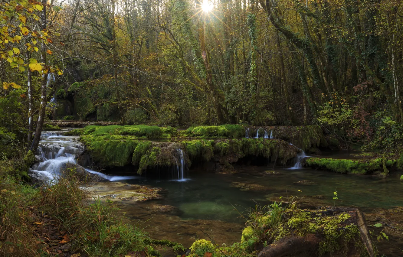 Фото обои лес, деревья, ручей, Франция, водопад, лучи солнца, Jura, Franche-Comte