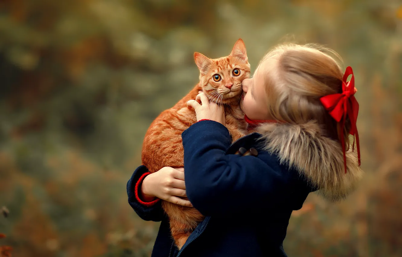 Фото обои кошка, кот, животное, девочка, ребёнок, Марина Фрейман