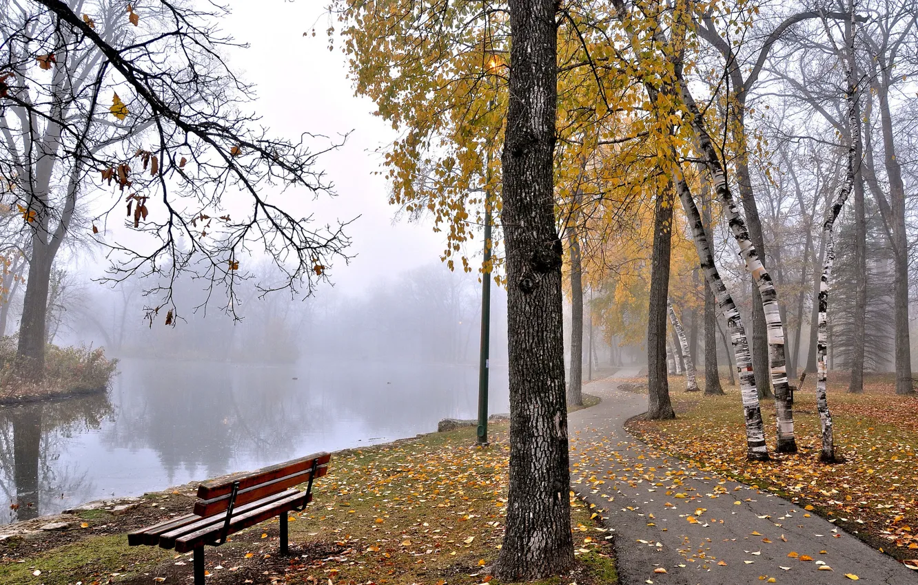 Фото обои осень, деревья, туман, пруд, парк, скамья