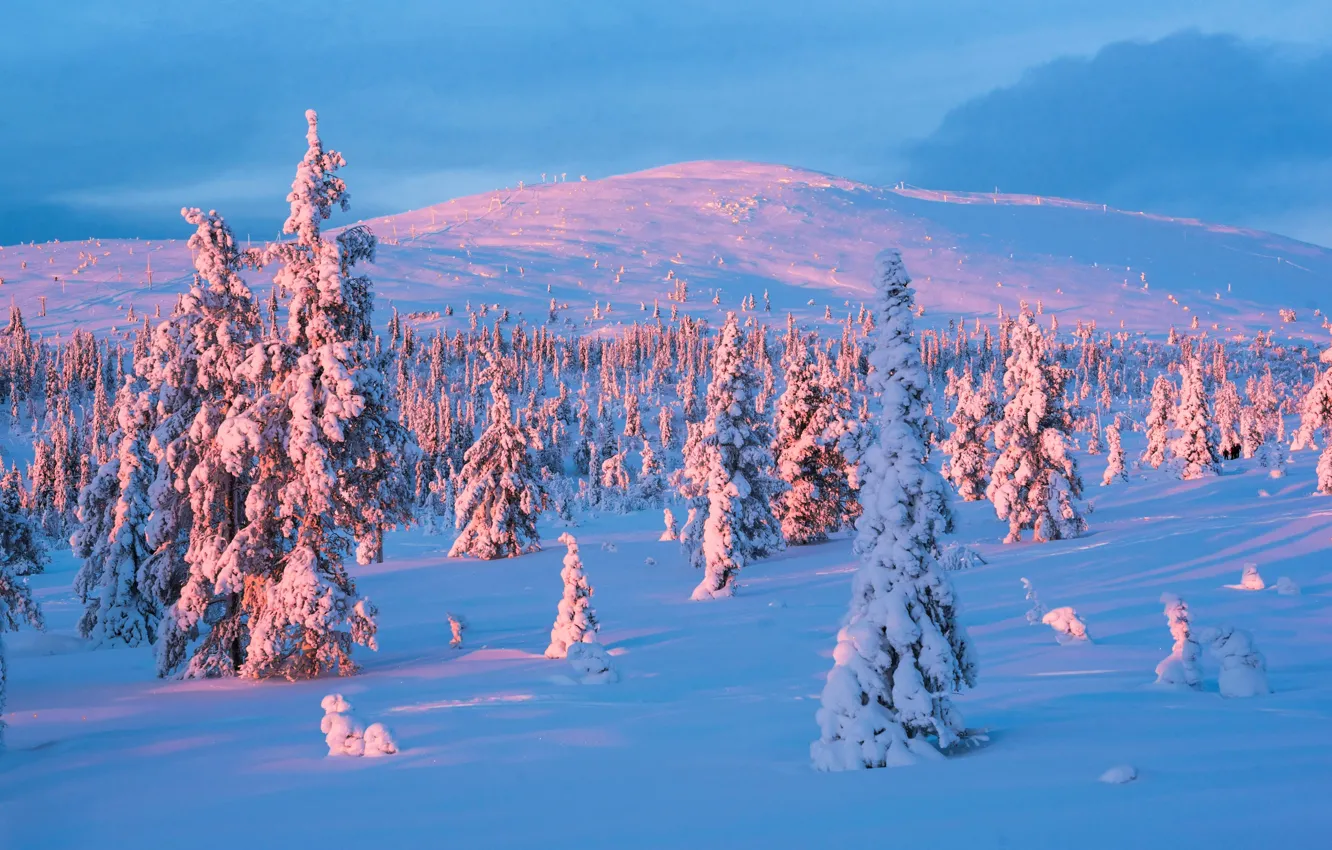 Фото обои Закат, Зима, Снег, Winter, Sunset, Snow, Финляндия, Finland