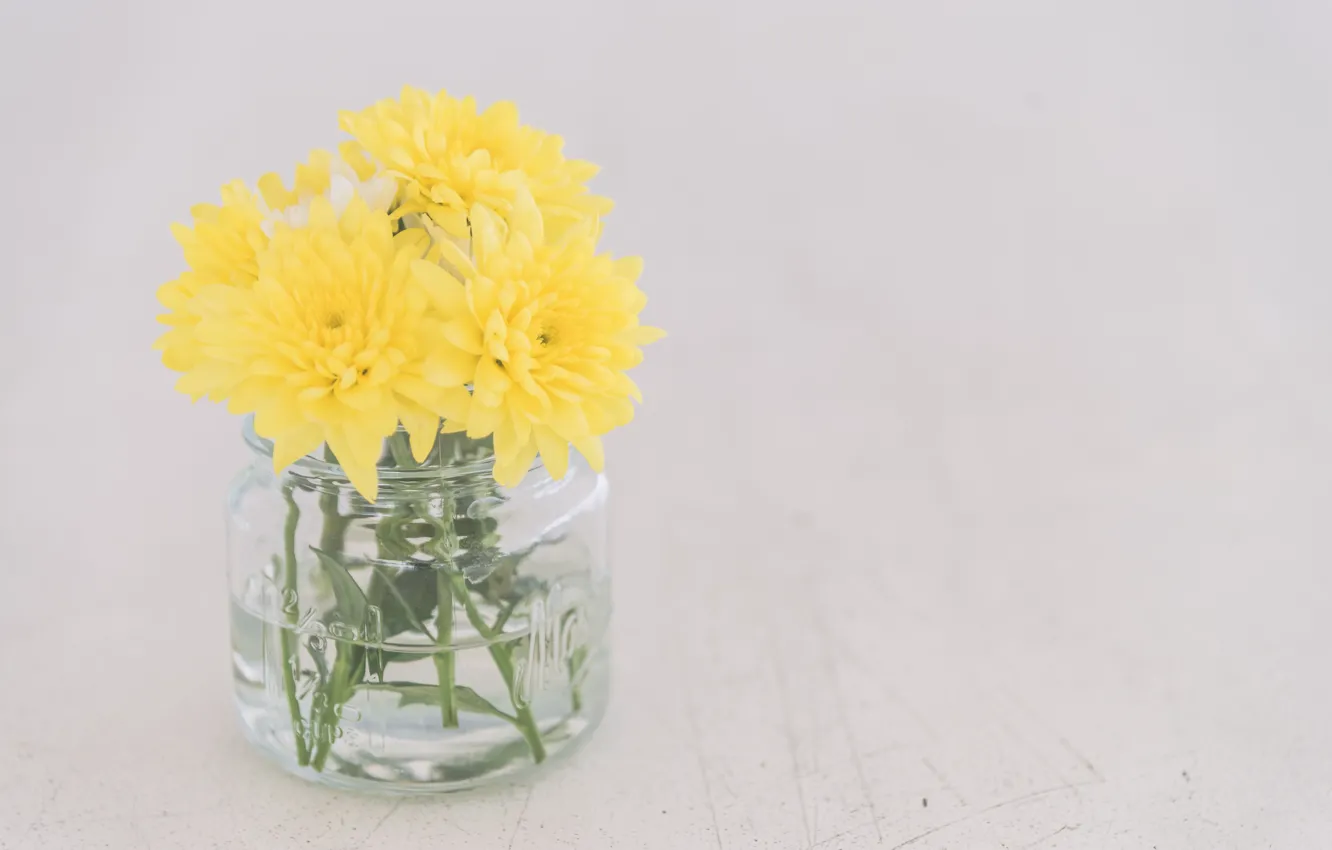 Фото обои цветы, желтые, ваза, Flower, vase