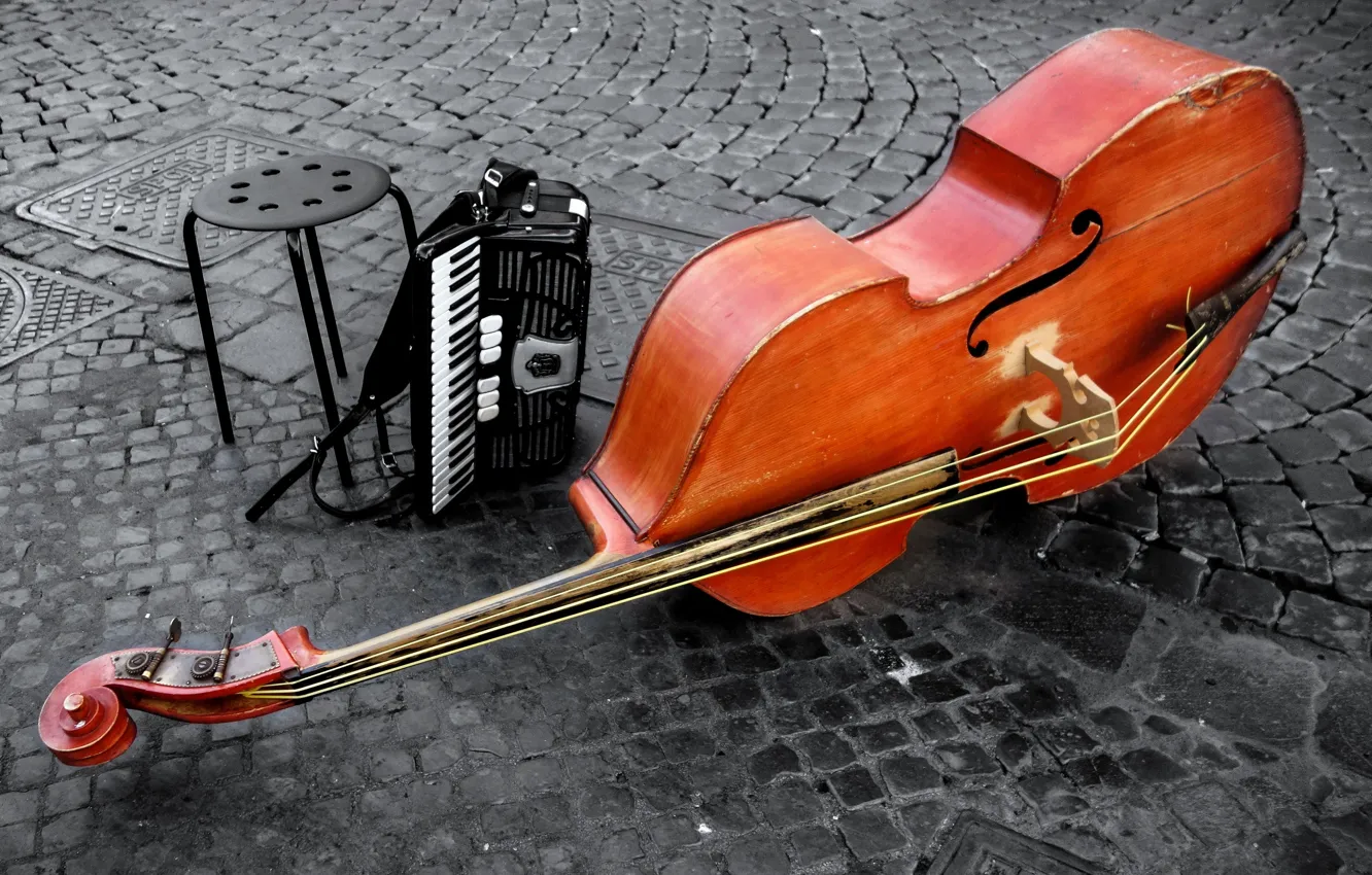 Фото обои violin, contrabajo, instrumentos, cuerda