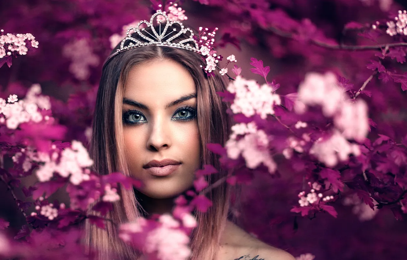 Фото обои прелесть, Alessandro Di Cicco, Queen Fairy