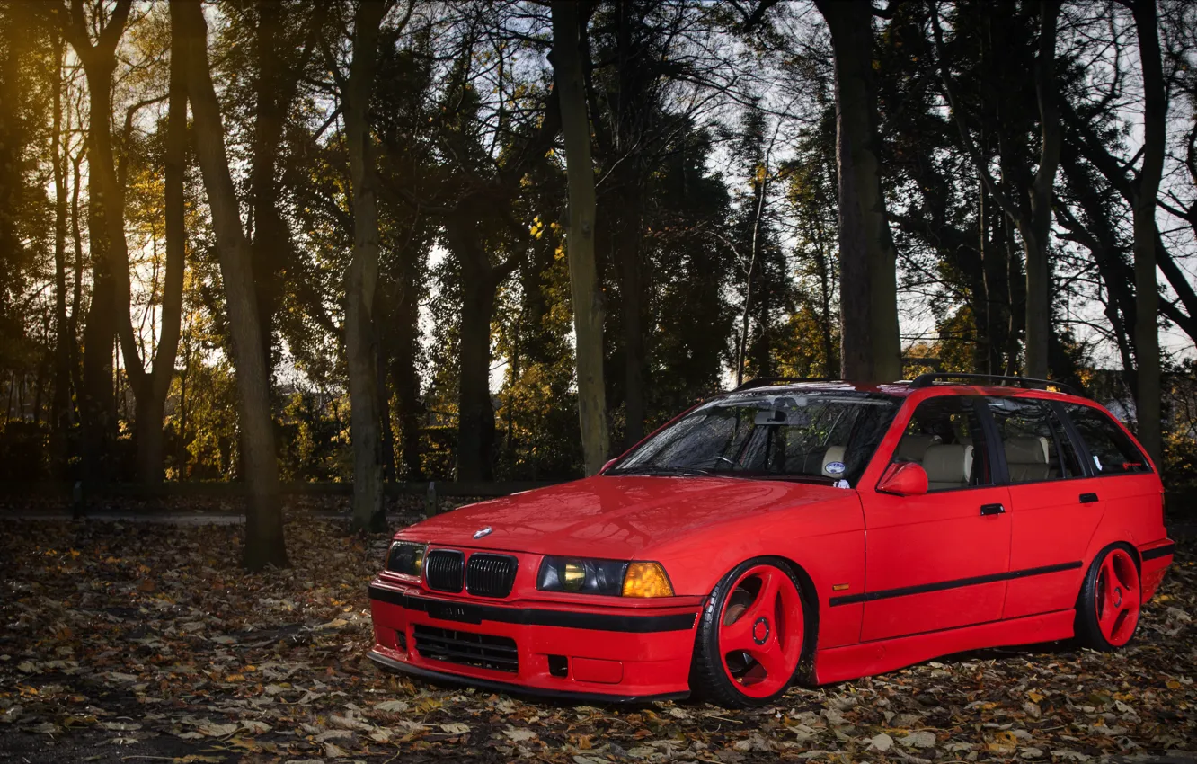 Фото обои BMW, red, front, wagon, E36