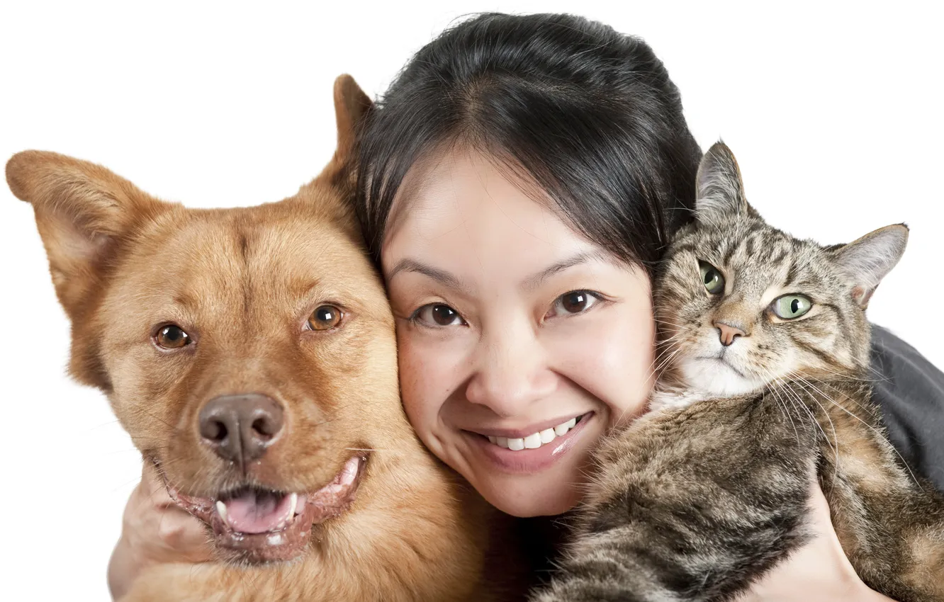 Фото обои кошка, животные, девушка, лицо, улыбка, портрет, собака, брюнетка