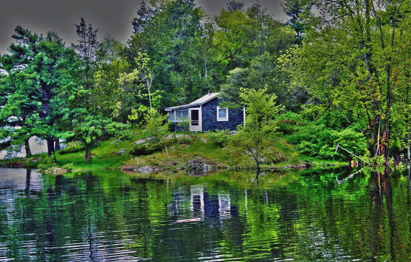 Фото обои лес, деревья, озеро, дома