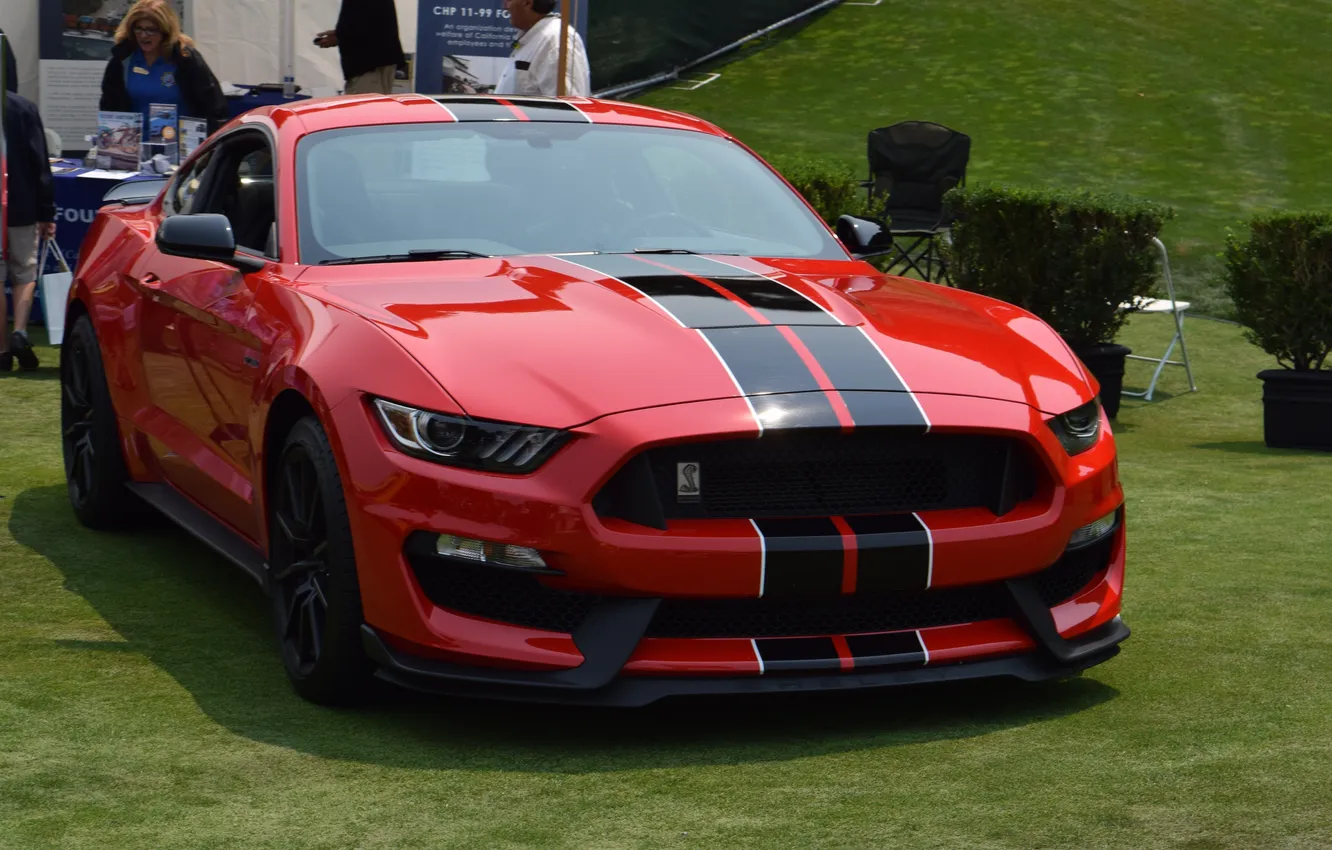 Фото обои mustang, red, muscle, new, monterey, motor, ridiculous, rich people