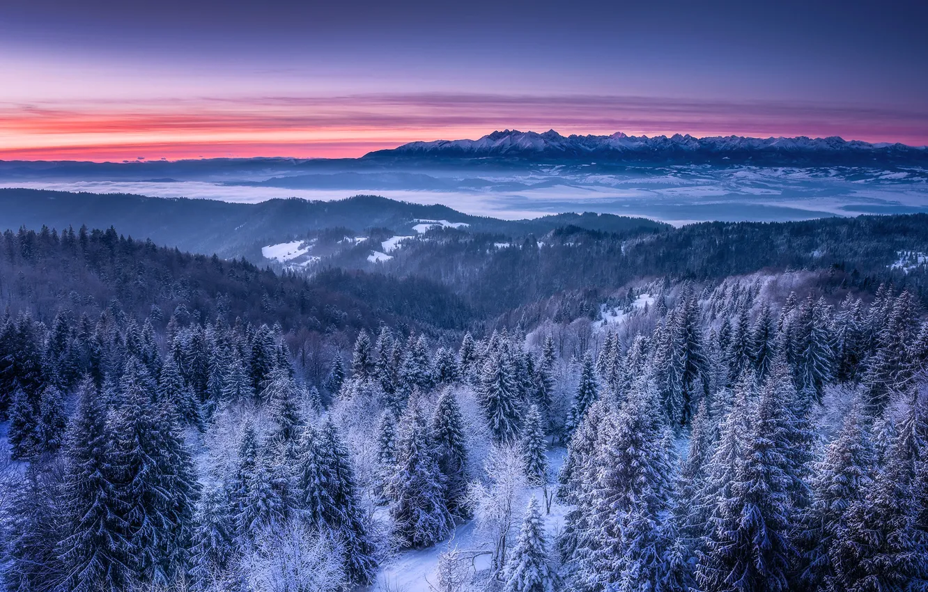 Фото обои зима, снег, пейзаж, горы, природа, утро, леса, заря