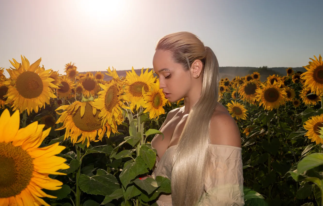 Фото обои поле, девушка, подсолнухи, настроение, блондинка, декольте, длинные волосы, Вадим Федотов