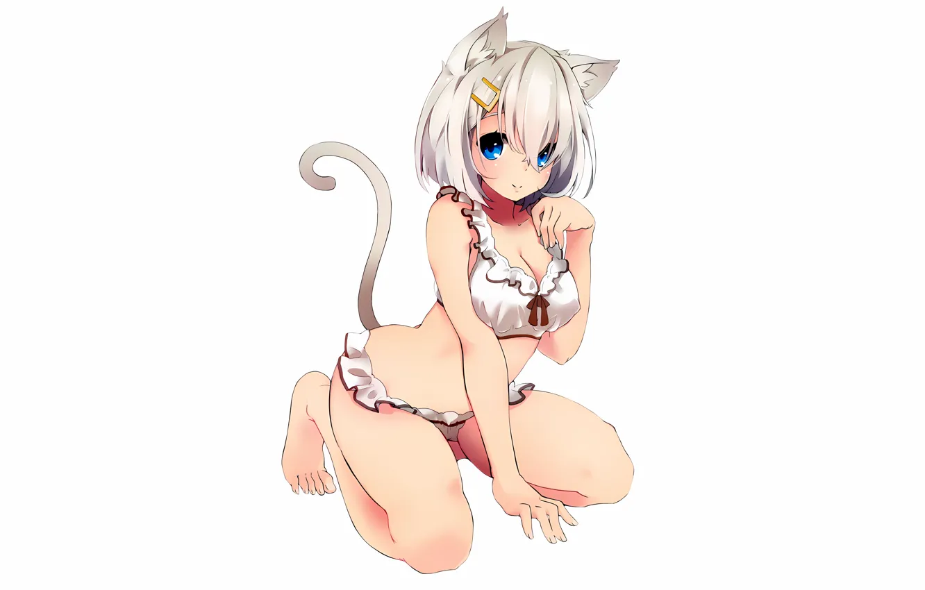 Фото обои girl, sexy, cleavage, shorts, legs, boobs, animal ears, anime