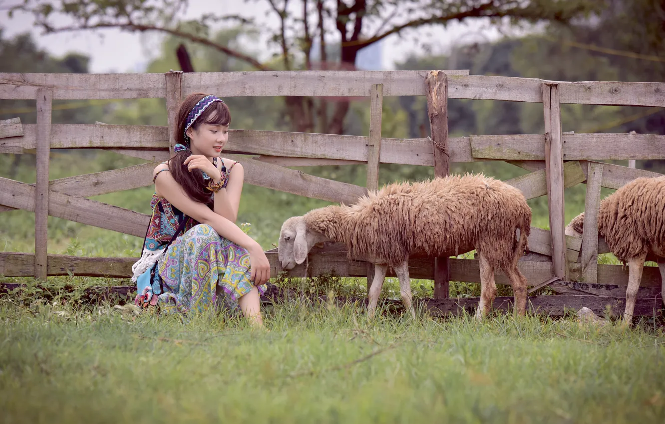 Фото обои девушка, лицо, забор, овцы, восточная
