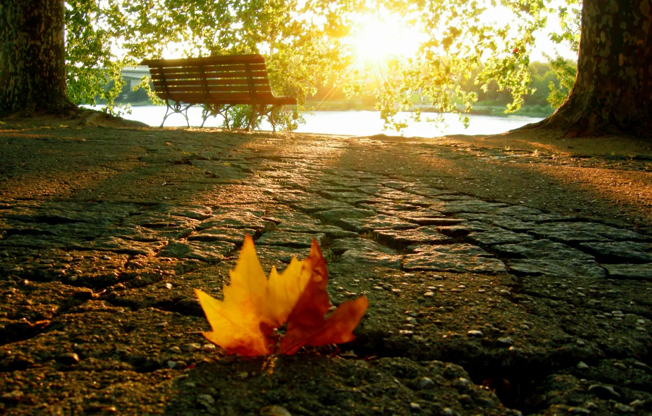 Осень без людей. Осень. Осень солнце. Осеннее настроение. Осень картинки.