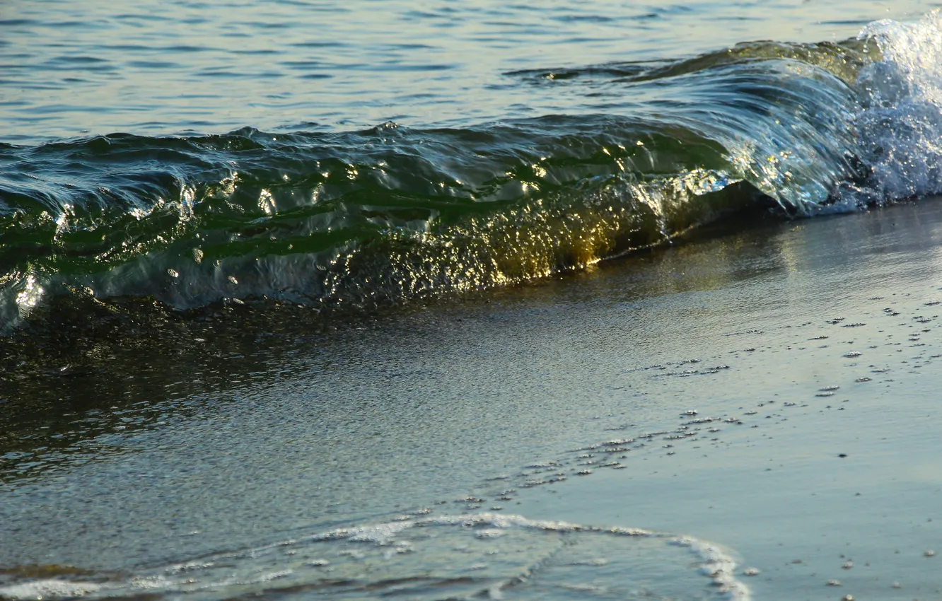 Фото обои sea, ocean, water, wave