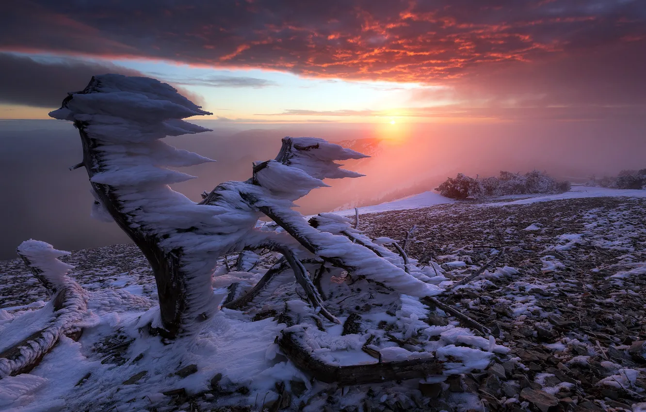 Фото обои France, Sunrise, North face of Mt Ventoux, Rest in Peace