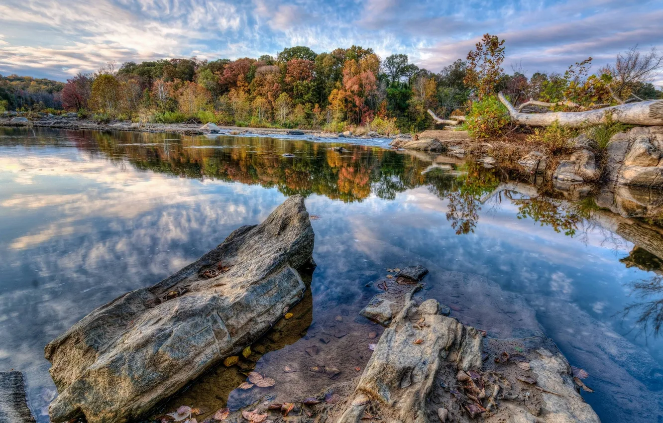 Фото обои forest, water, mountain, lake, rocks