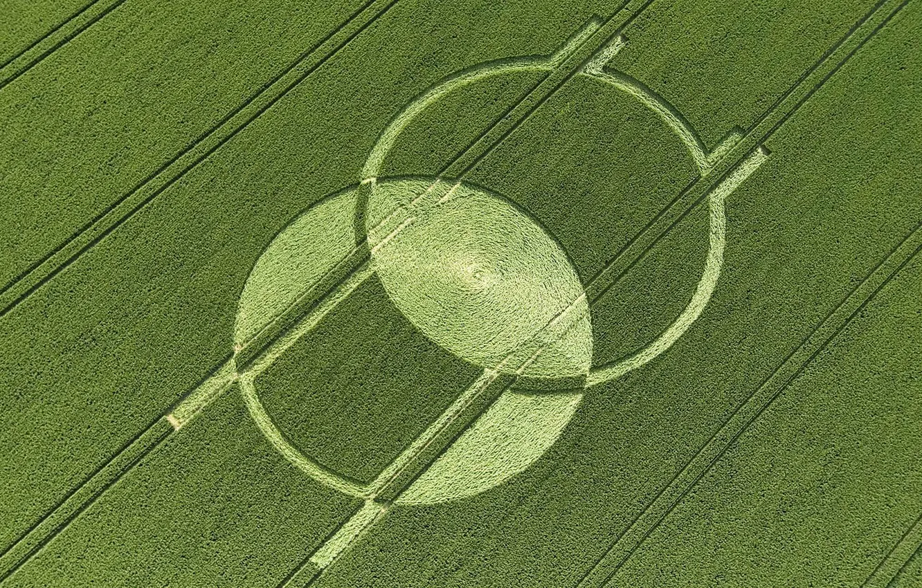 Фото обои поле, круги, НЛО
