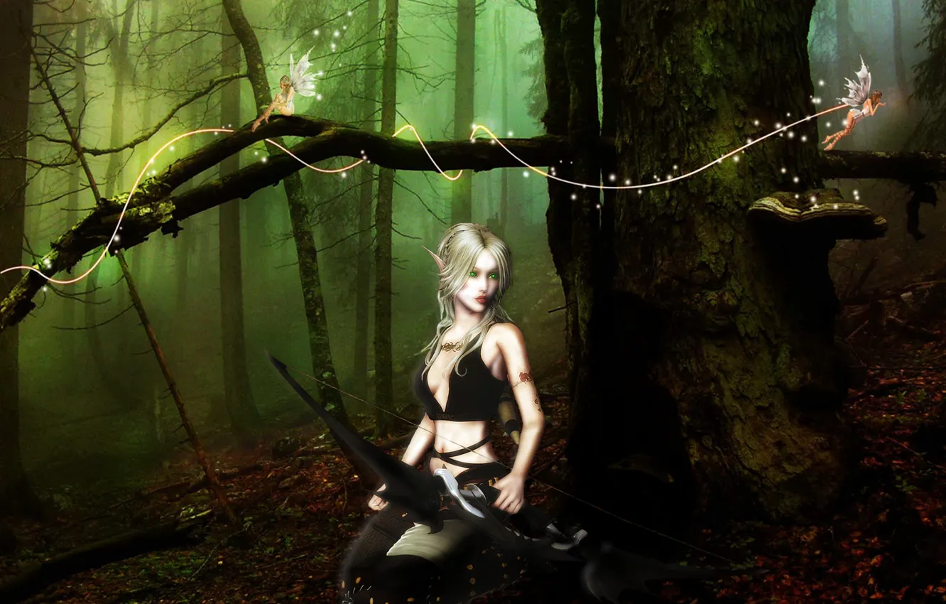 Фото обои Fantasy, Art, Ranger, Fairies, Female Elf, Woods