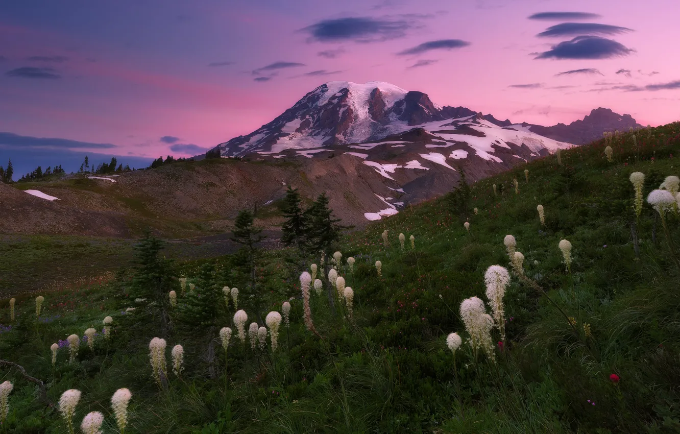 Фото обои небо, цветы, гора, вечер, утро, склон, США