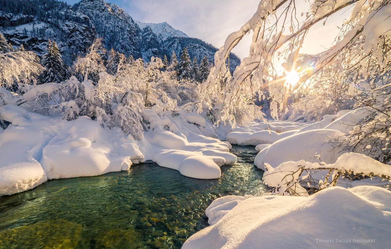 Фото обои зима, лес, вода, солнце, снег, деревья, река, ручей