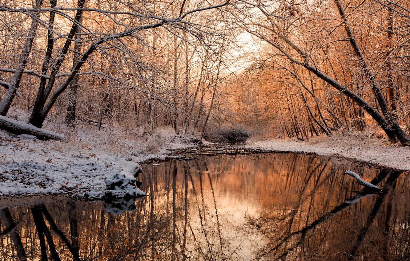 Фото обои зима, вода, снег, деревья, река, Aleksandr Razgulyaev