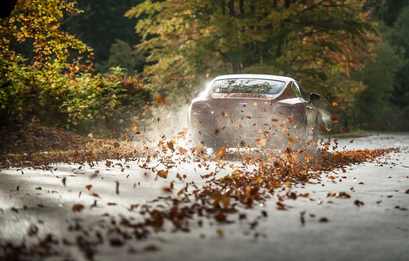 Фото обои car, bentley, Leaves