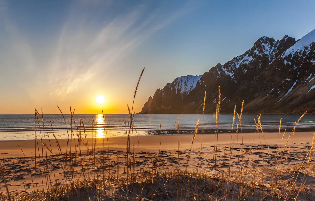 Фото обои зима, песок, море, пляж, трава, снег, горы, Норвегия