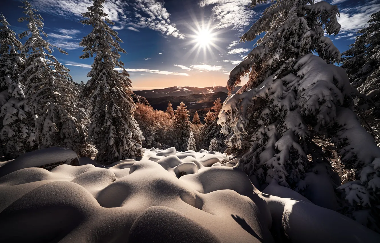 Фото обои зима, солнце, лучи, снег, деревья, пейзаж, горы, природа