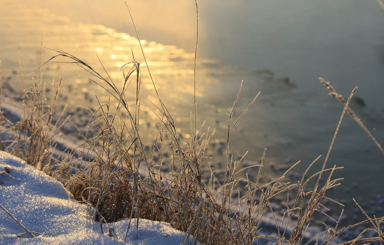 Фото обои зима, трава, снег, река