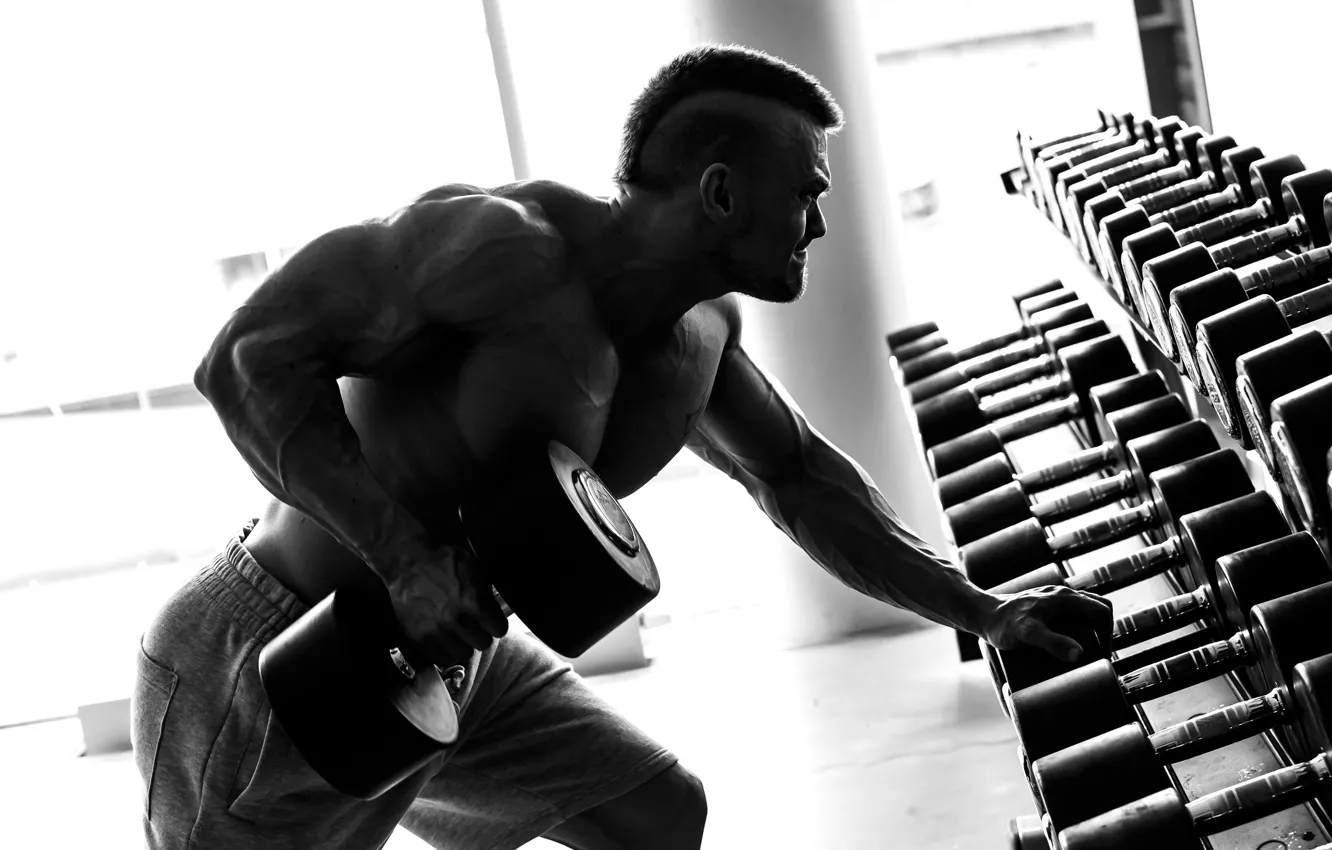 Фото обои muscle, gym, bodybuilding, bodybuilder