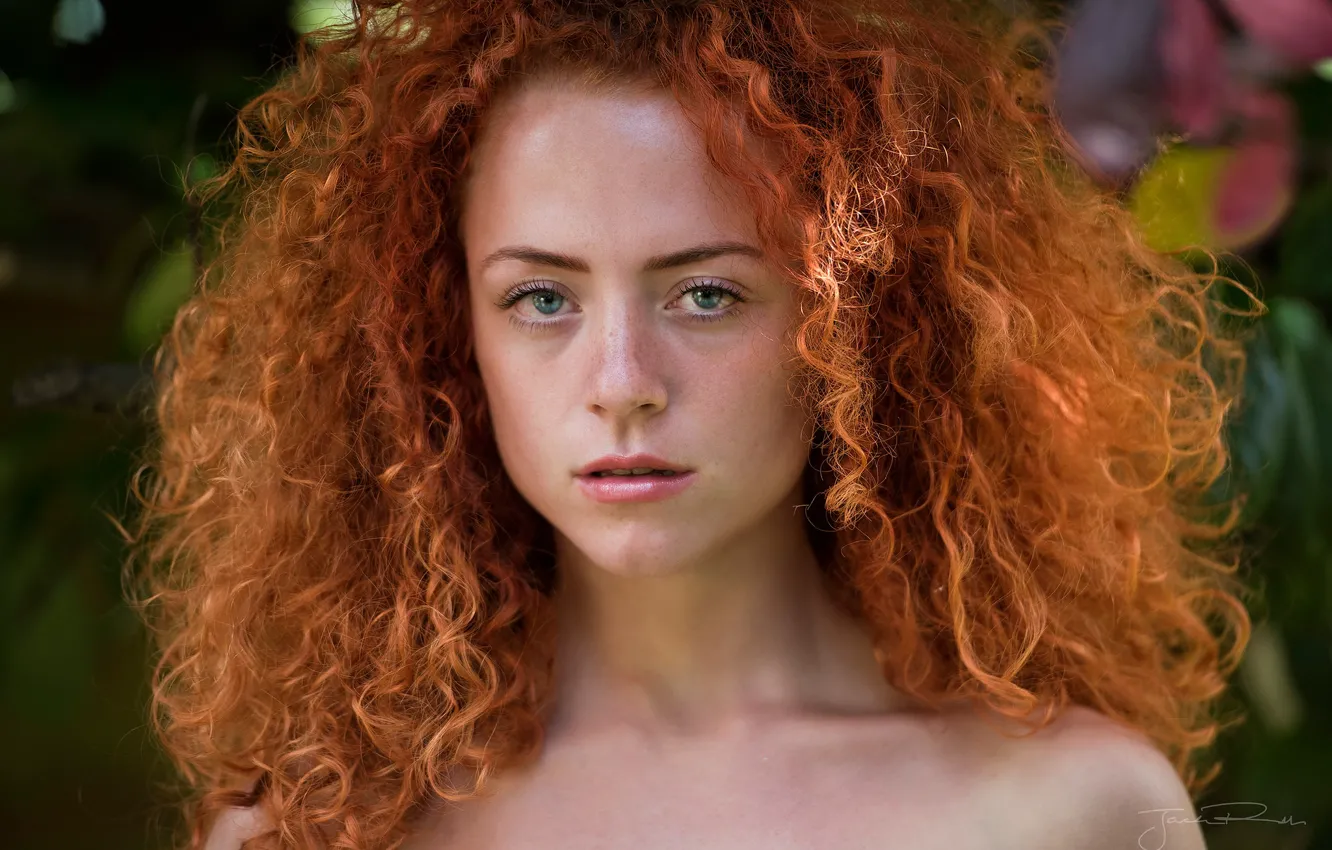 Фото обои кудри, рыжеволосая, Jack Russell