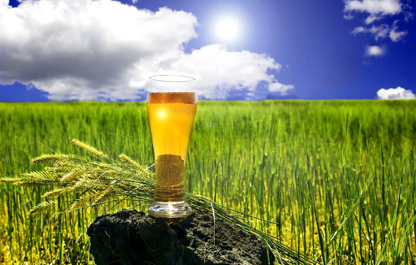 Фото обои поле, лето, небо, трава, солнце, облака, стакан, камень